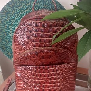 Very Beautiful Brahmin Backpack